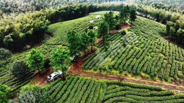 上海普陀区2600平米商业用地使用权转让