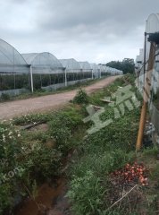 赣州南康区200亩连体经营权出租