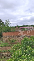 大連金州區(qū)三十里堡街道 160平方米 農(nóng)村宅基地 使用權(quán)出租