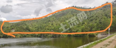 五华县安流600亩山地经营权出租