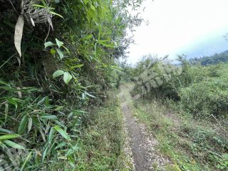 重慶渝北區(qū)225平米農(nóng)村宅基地使用權(quán)出租