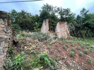 重慶渝北區(qū)75平米農(nóng)村宅基地使用權(quán)出租