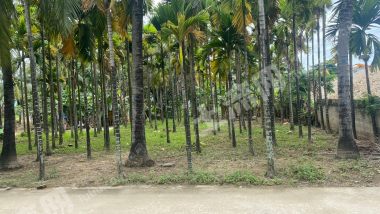 海南陵水黎族自治縣1200平米農(nóng)村宅基地使用權(quán)出租