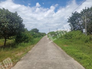 海南澄迈县2200亩其它耕地经营权出租