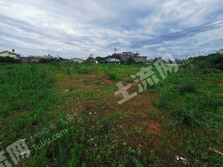 长沙开福区12亩其它耕地经营权出租