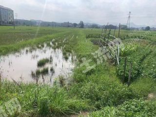 江西上饶1500亩其它耕地经营权出租   可种苗木  花卉