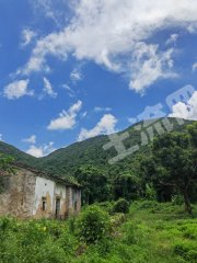 惠东县增光农家庭院带果园经营权出租