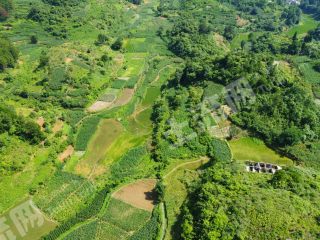 花溪320亩旱地经营权出租