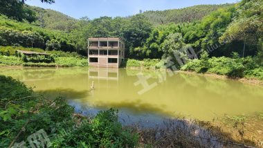 惠州市500平米魚塘邊農(nóng)房帶8畝魚塘空地流轉(zhuǎn)
