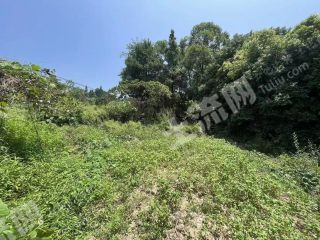 重慶渝北區(qū)300平米農(nóng)村宅基地使用權(quán)出租