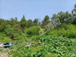 重慶渝北區(qū)300平米農(nóng)村宅基地使用權(quán)出租