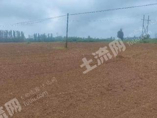 新乡长垣市285亩水浇地经营权出租XX1655