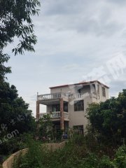 惠东县300平米全新三层农房带鱼塘菜地使用权出租