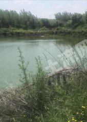 沈阳浑南区10亩水库经营权转让