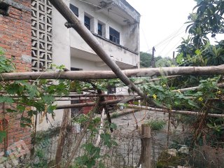 重庆巴南区150平米农家庭院使用权出租