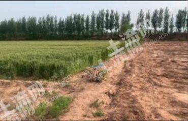 新乡延津县200亩水浇地经营权出租XX1665