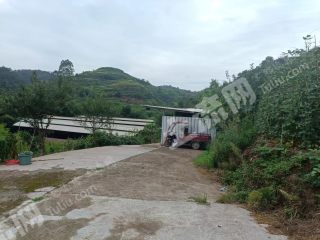 宜宾叙州区52.19亩养殖场经营权转让