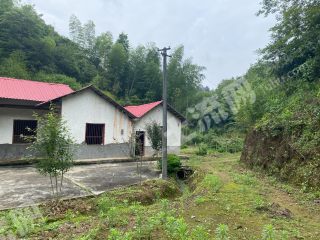 长沙长沙县 1476平米 农家庭院 使用权出租 路口002