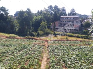 重庆巴南区350平米农家庭院使用权出租