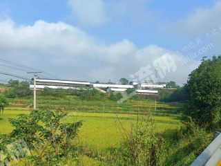 宜宾江安县畜牧养殖用地经营权出租（可分区出租）