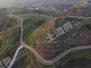 宜宾屏山县330亩果园经营权转让