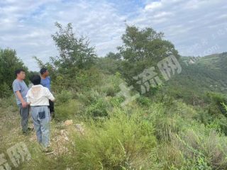 长治壶关县18亩荒沟使用权出租