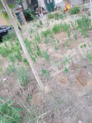 南阳镇平县 12亩 裸土地 使用权出租