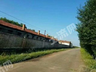 内蒙古通辽 13920平米 农村宅基地 使用权出租