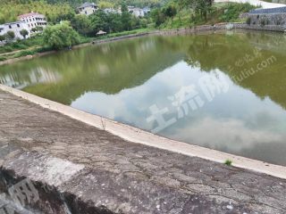 金华东阳市 35亩 水浇地 经营权出租