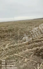 吉林白城 10亩 水浇地经营权转让