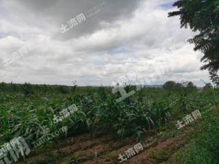 白城洮南市9.66亩耕地-水浇地经营权转让