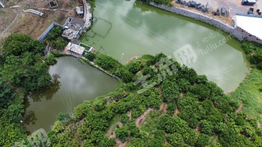 梅州梅县区 13亩 农场 使用权出租