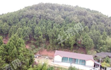 金堂县转龙镇附近 200平米农房 使用权流转