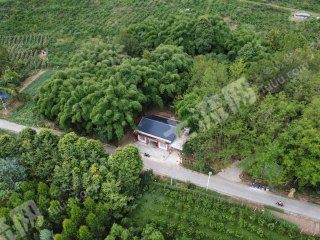 邛崍山腰林盤精裝小院使用權(quán)出租