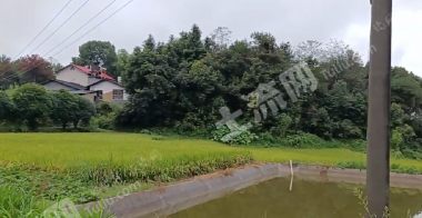 長(zhǎng)沙長(zhǎng)沙縣240平米農(nóng)村宅基地使用權(quán)出租