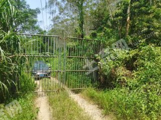 广东佛山60亩其它耕地经营权流转