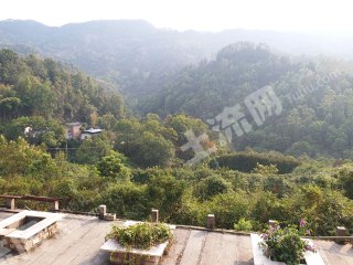 重庆巴南区60亩度假山庄使用权出租