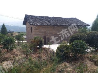 重庆巴南区130平米农家庭院使用权出租