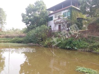 重庆巴南区160平米农家庭院使用权出租