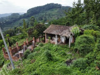 蒲江观山小院-带屋后8亩林地使用权出租