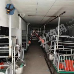 杭州钱塘区250亩养猪场经营权出租