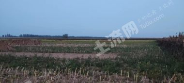 500亩人工草地经营权出租