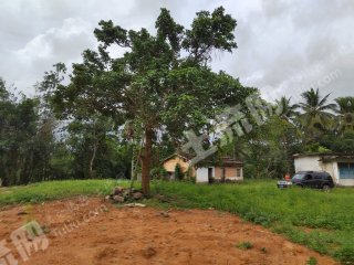 海南萬寧市約22畝林地農(nóng)村宅基地使用權(quán)轉(zhuǎn)讓