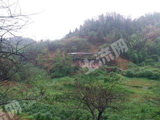 重庆巴南区150平米农家庭院带6亩土地使用权出租