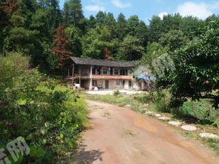 重庆巴南区180平米农家庭院使用权出租