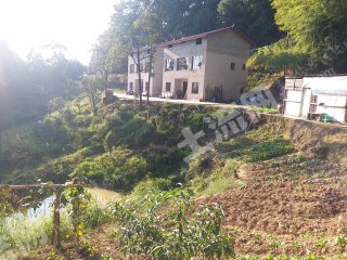 重庆巴南区150平米农家庭院使用权出租