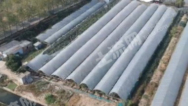 合肥包河区10亩果园经营权出租