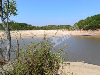信阳平桥区 12亩 坑塘水面 经营权出租