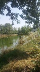 开封兰考县200亩水产养殖用地经营权出租XX1694