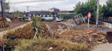 大連普蘭店區(qū)城子坦鎮(zhèn) 118.8平方米 農(nóng)村宅基地 使用權(quán)出租